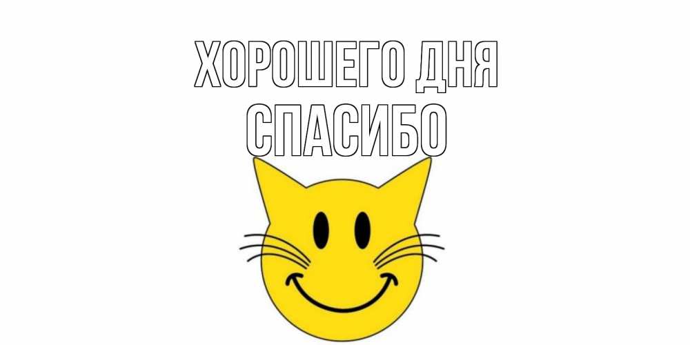 Открытка на каждый день с именем, СПАСИБО Хорошего дня открытка с котом Прикольная открытка с пожеланием онлайн скачать бесплатно 