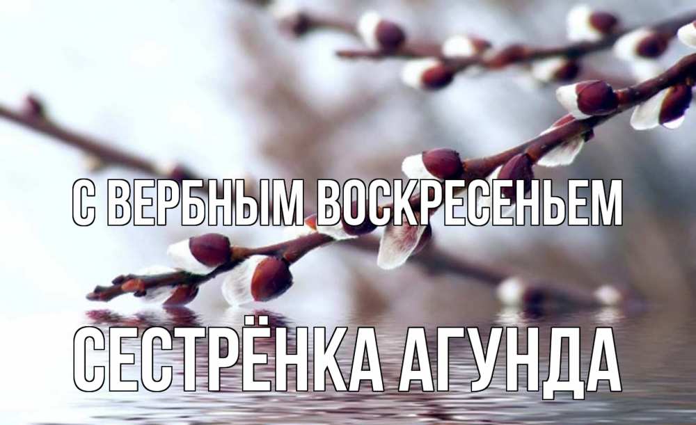 Открытка на каждый день с именем, Сестрёнка-Агунда С вербным воскресеньем верба, ручей Прикольная открытка с пожеланием онлайн скачать бесплатно 