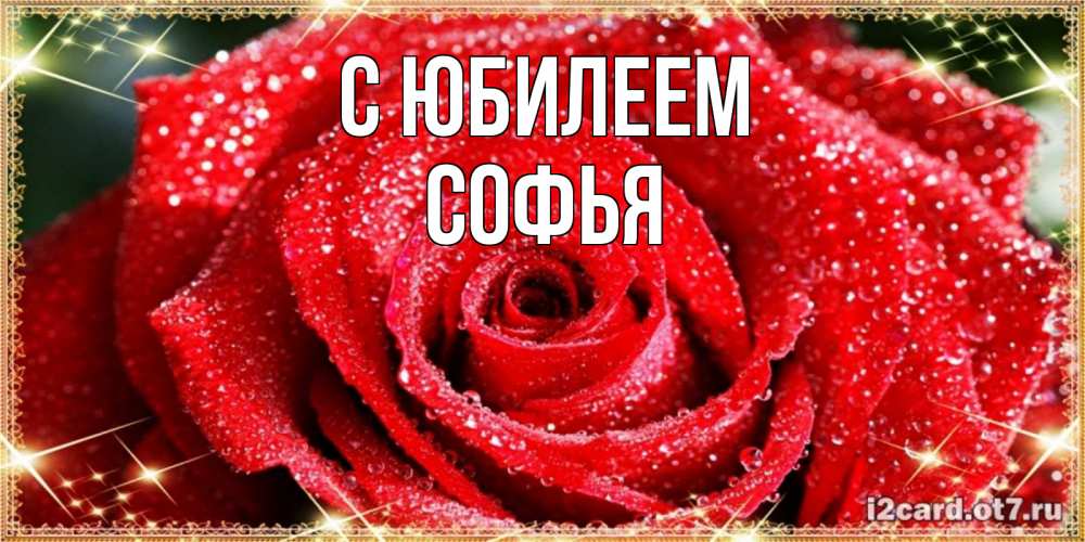 Открытка на каждый день с именем, Софья С юбилеем роса и роза. открытка с красивой розой Прикольная открытка с пожеланием онлайн скачать бесплатно 