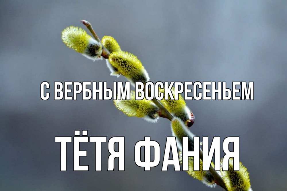 Открытка на каждый день с именем, Тётя-Фания С вербным воскресеньем верба Прикольная открытка с пожеланием онлайн скачать бесплатно 