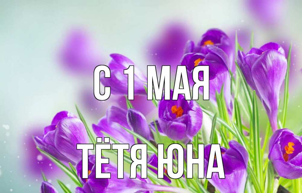 Открытка на каждый день с именем, Тётя-Юна С 1 мая 1 мая Прикольная открытка с пожеланием онлайн скачать бесплатно 