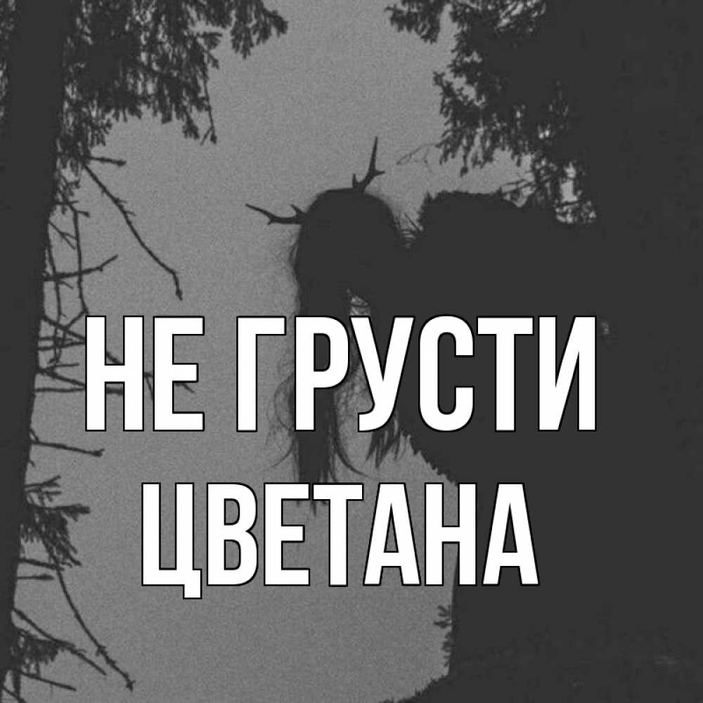 Открытка на каждый день с именем, Цветана Не грусти чудище лесное Прикольная открытка с пожеланием онлайн скачать бесплатно 