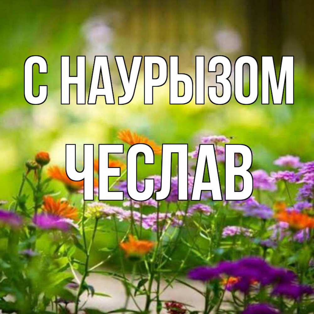 Открытка на каждый день с именем, Чеслав С наурызом цветы Прикольная открытка с пожеланием онлайн скачать бесплатно 