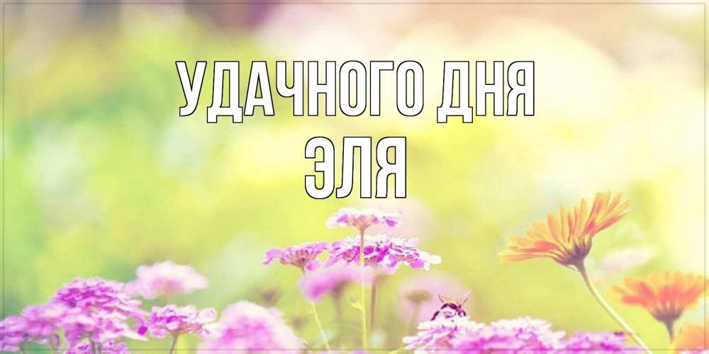 Открытка на каждый день с именем, Эля Удачного дня красивая открытка с летней темой Прикольная открытка с пожеланием онлайн скачать бесплатно 