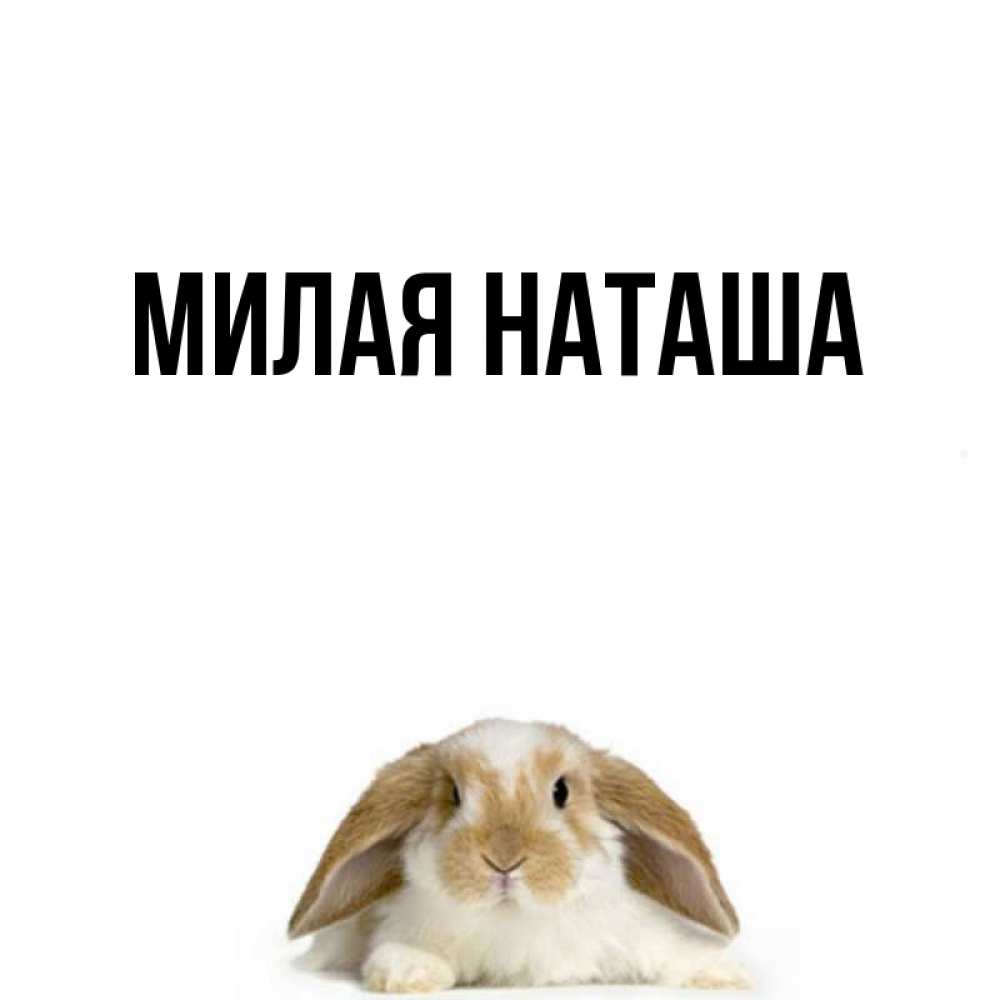 Главная Наташа Фото