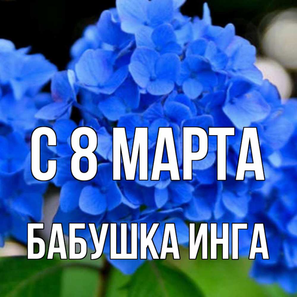 Открытка на каждый день с именем, Бабушка-Инга С 8 МАРТА синие цветы Прикольная открытка с пожеланием онлайн скачать бесплатно 
