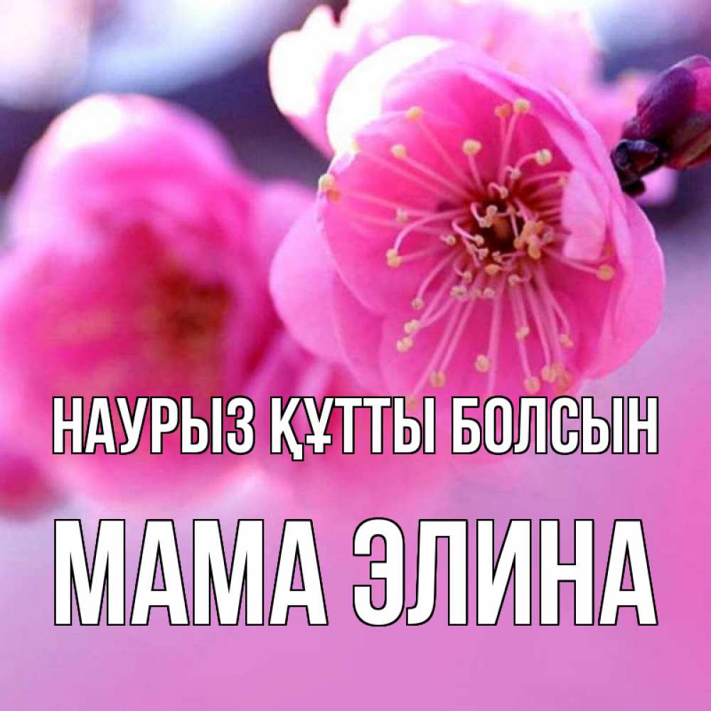 Открытка на каждый день с именем, Мама-Элина Наурыз құтты болсын наурыз мейрам Прикольная открытка с пожеланием онлайн скачать бесплатно 