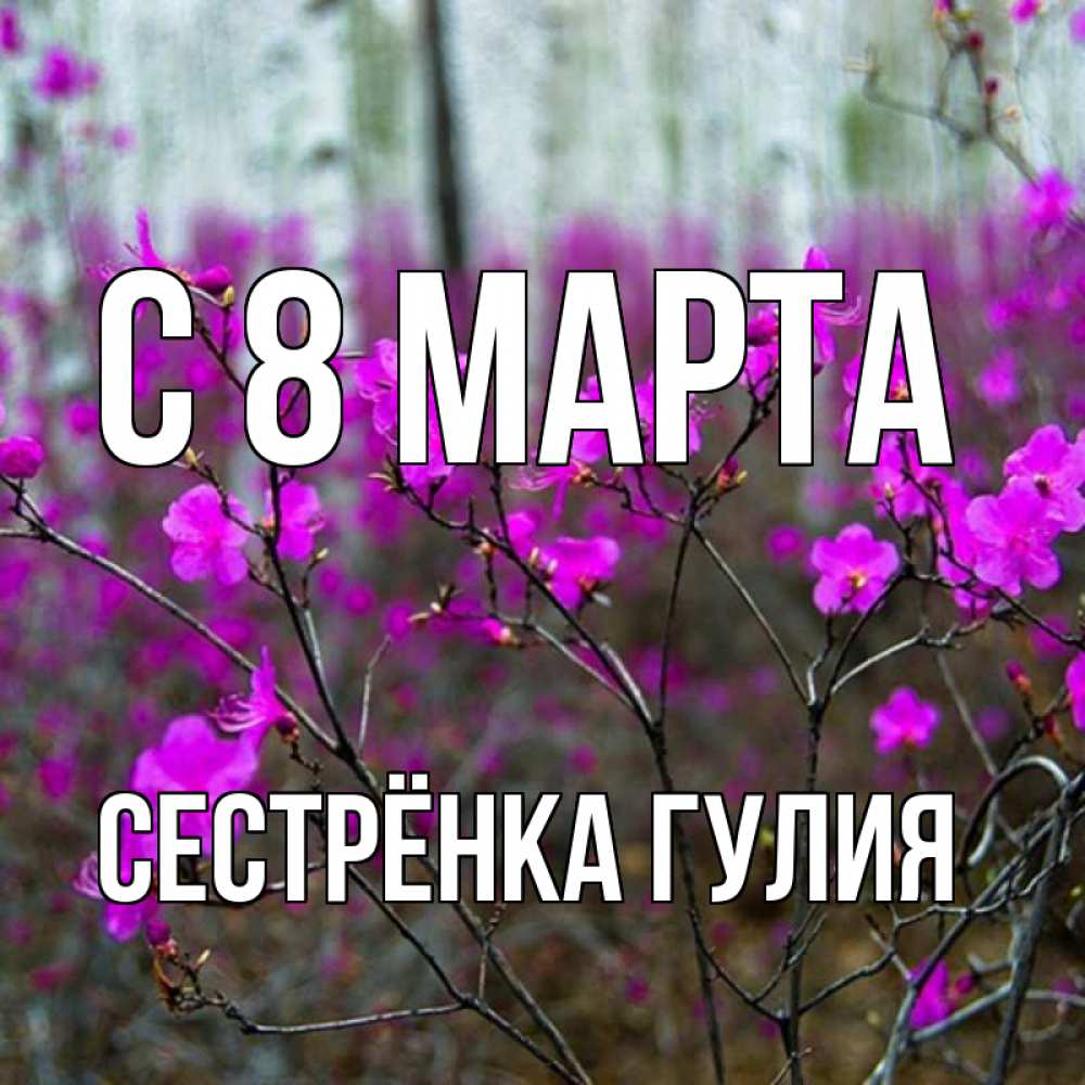 Открытка на каждый день с именем, Сестрёнка-Гулия С 8 марта дикие цветы Прикольная открытка с пожеланием онлайн скачать бесплатно 