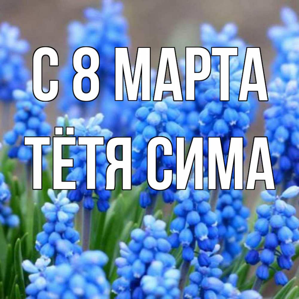 Открытка на каждый день с именем, Тётя-Сима С 8 марта Поздравительная открытка для женщин с цветами на праздничную дату Прикольная открытка с пожеланием онлайн скачать бесплатно 