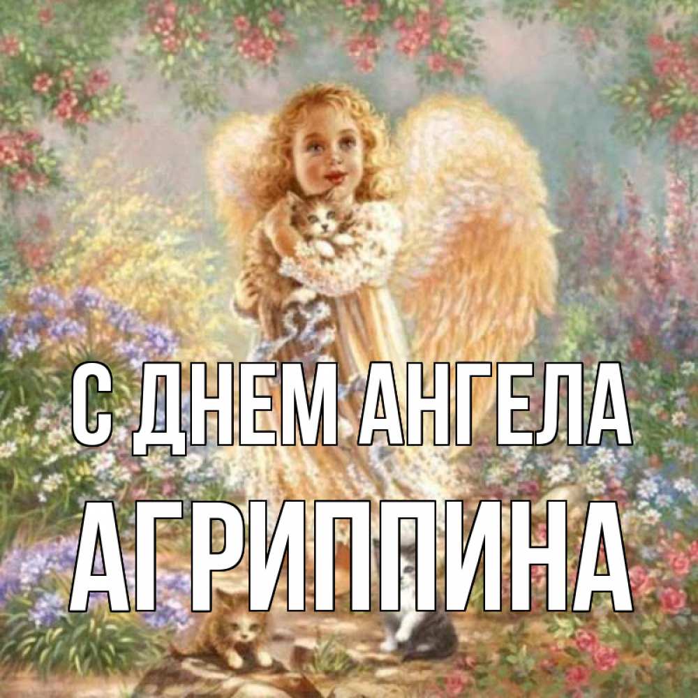Открытка на каждый день с именем, Агриппина С днем ангела держит котенка Прикольная открытка с пожеланием онлайн скачать бесплатно 