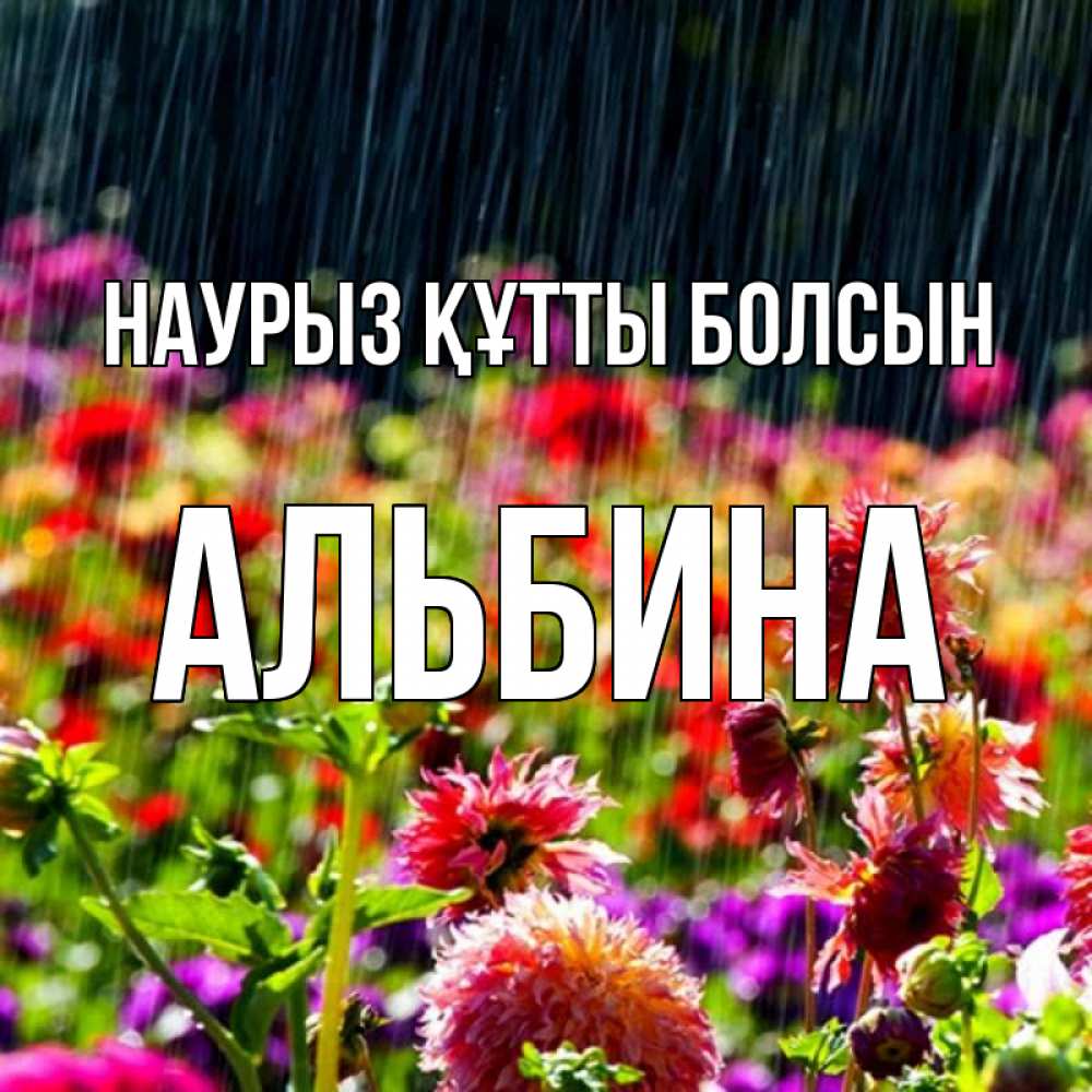 Открытка на каждый день с именем, Альбина Наурыз құтты болсын цветы под дождиком к наурызу Прикольная открытка с пожеланием онлайн скачать бесплатно 