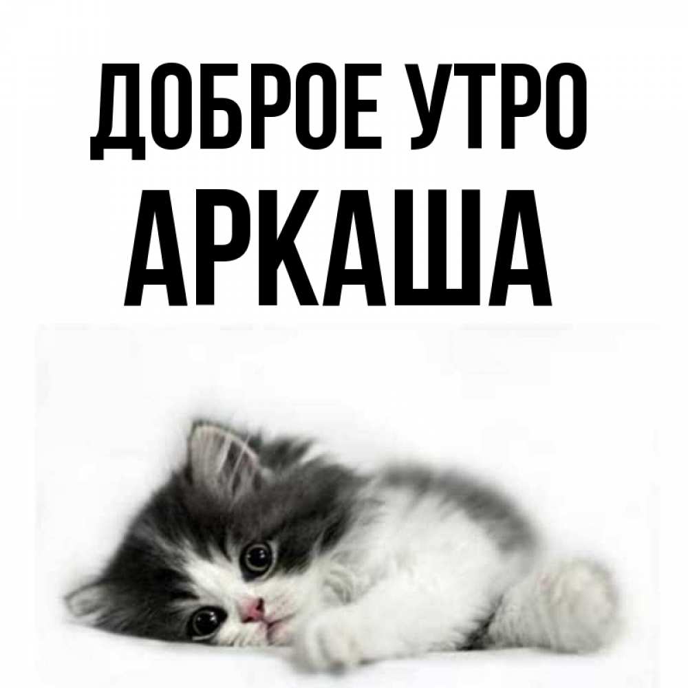 Открытка на каждый день с именем, Аркаша Доброе утро кот лапки Прикольная открытка с пожеланием онлайн скачать бесплатно 