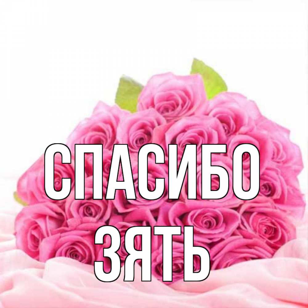 Открытка на каждый день с именем, Зять Спасибо розовые розы с подписью Прикольная открытка с пожеланием онлайн скачать бесплатно 