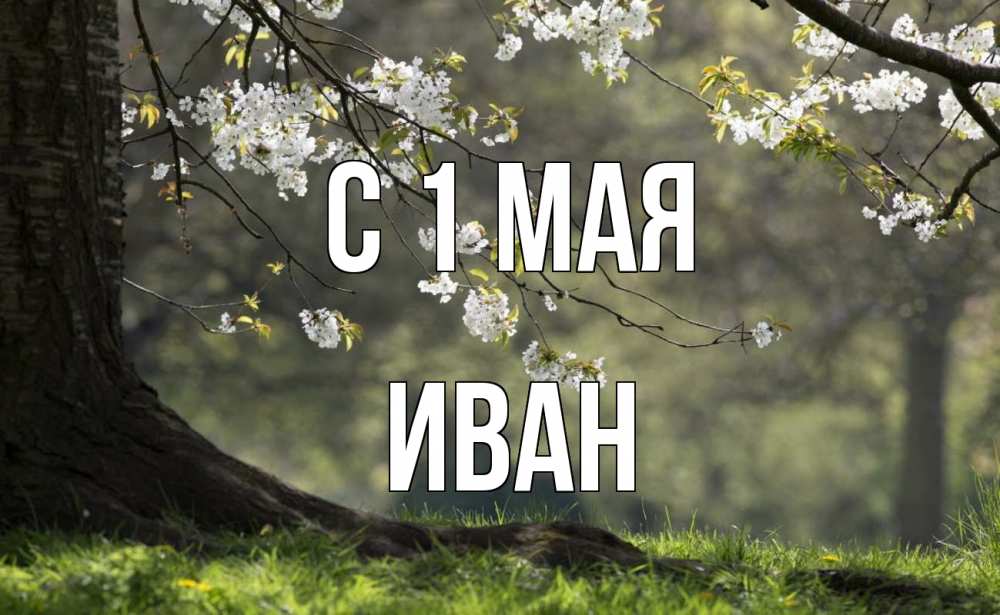 Открытка на каждый день с именем, Иван С 1 мая С 1 мая Прикольная открытка с пожеланием онлайн скачать бесплатно 