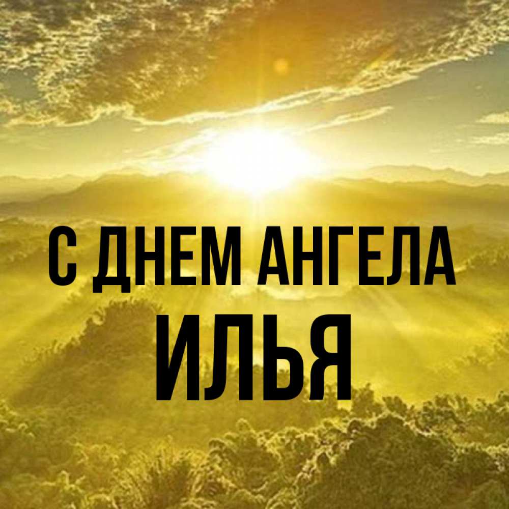 Открытка на каждый день с именем, Илья С днем ангела леса и небо в желтом Прикольная открытка с пожеланием онлайн скачать бесплатно 