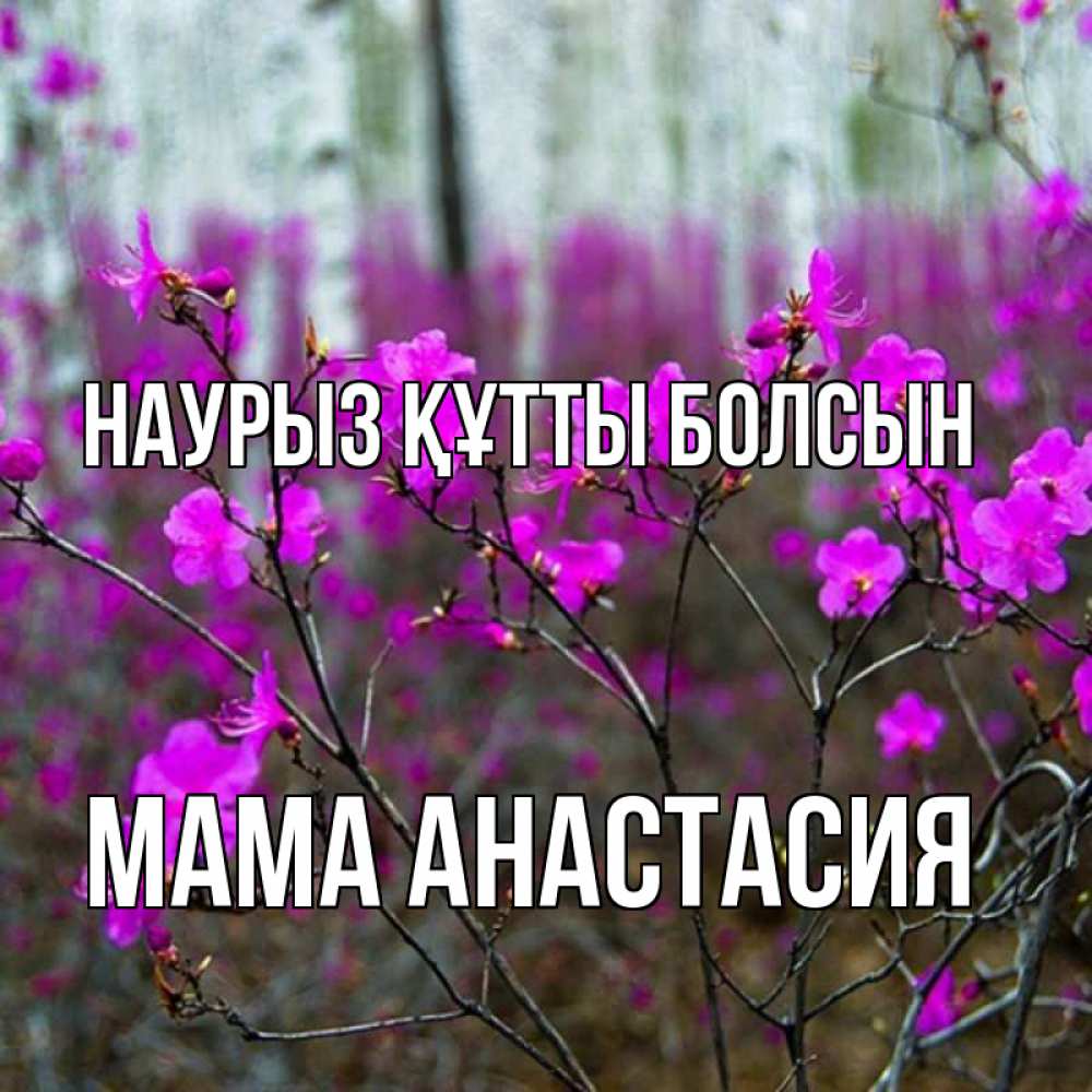 Открытка на каждый день с именем, Мама-Анастасия Наурыз құтты болсын дикие цветы Прикольная открытка с пожеланием онлайн скачать бесплатно 