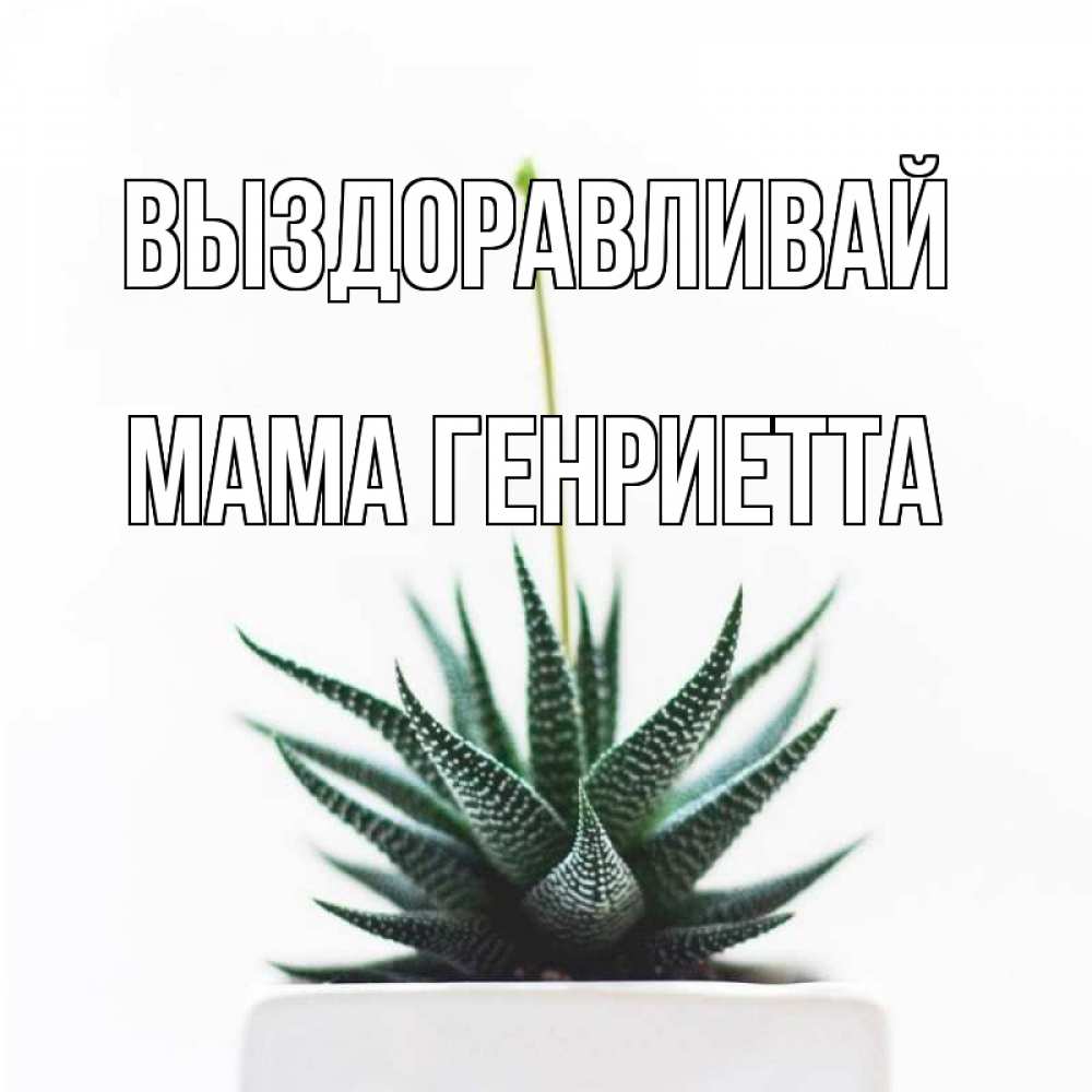 Открытка на каждый день с именем, Мама-Генриетта Выздоравливай короче это непонятная колючка Прикольная открытка с пожеланием онлайн скачать бесплатно 
