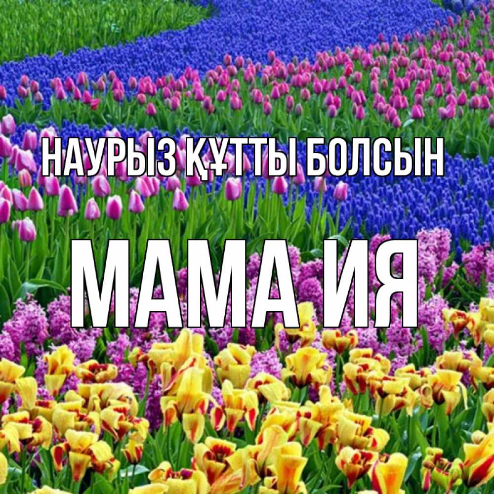 Открытка на каждый день с именем, Мама-Ия Наурыз құтты болсын цветы Прикольная открытка с пожеланием онлайн скачать бесплатно 