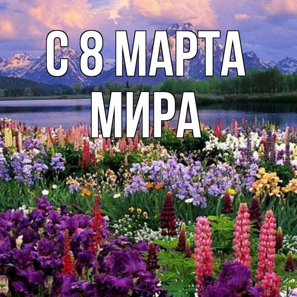 Открытка на каждый день с именем, Мира С 8 МАРТА международный женский день Прикольная открытка с пожеланием онлайн скачать бесплатно 