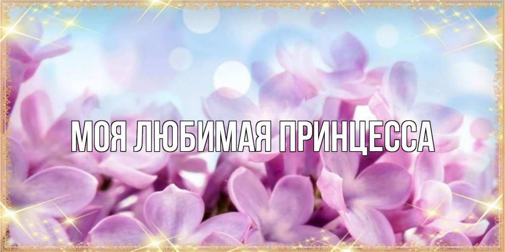 Открытка на каждый день с именем, Моя-Любимая-Принцесса Главная открытка на наурыз  день с цветами Прикольная открытка с пожеланием онлайн скачать бесплатно 