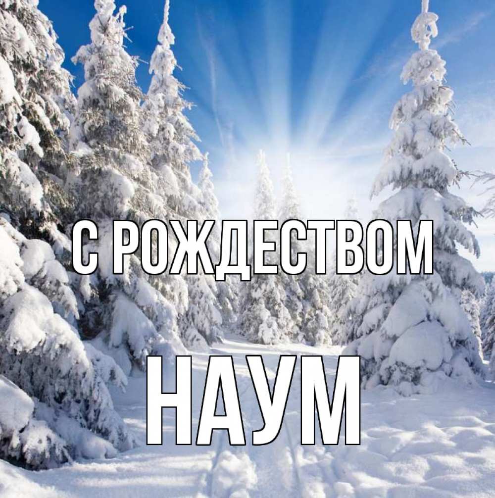 Открытка на каждый день с именем, Наум С рождеством зима, лес Прикольная открытка с пожеланием онлайн скачать бесплатно 