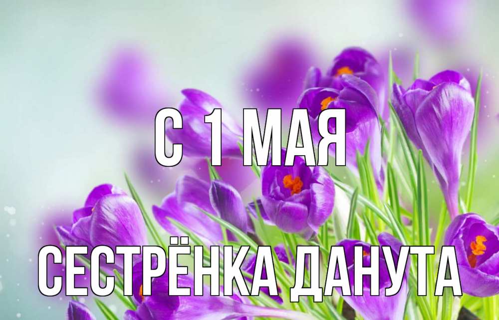 Открытка на каждый день с именем, Сестрёнка-Данута С 1 мая 1 мая Прикольная открытка с пожеланием онлайн скачать бесплатно 