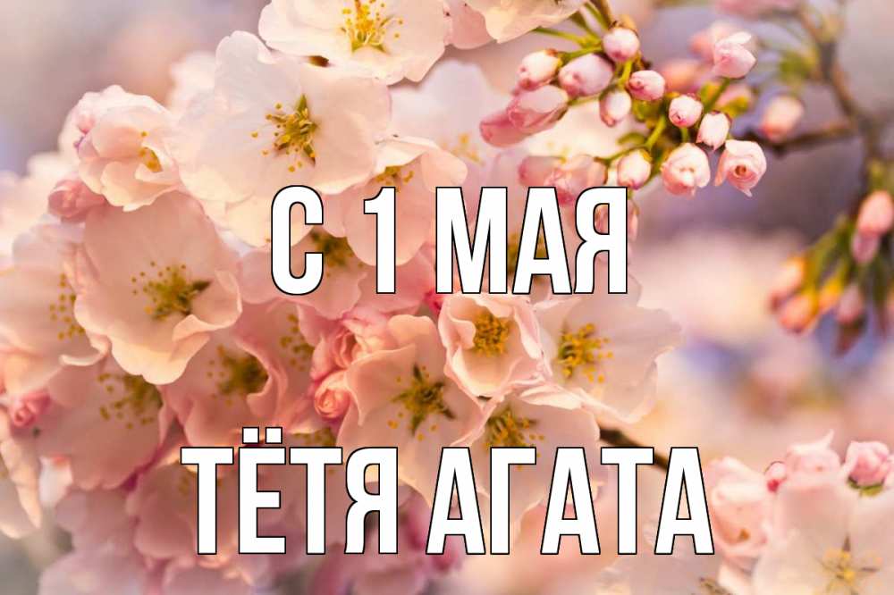 Открытка на каждый день с именем, Тётя-Агата С 1 мая С 1 мая Прикольная открытка с пожеланием онлайн скачать бесплатно 