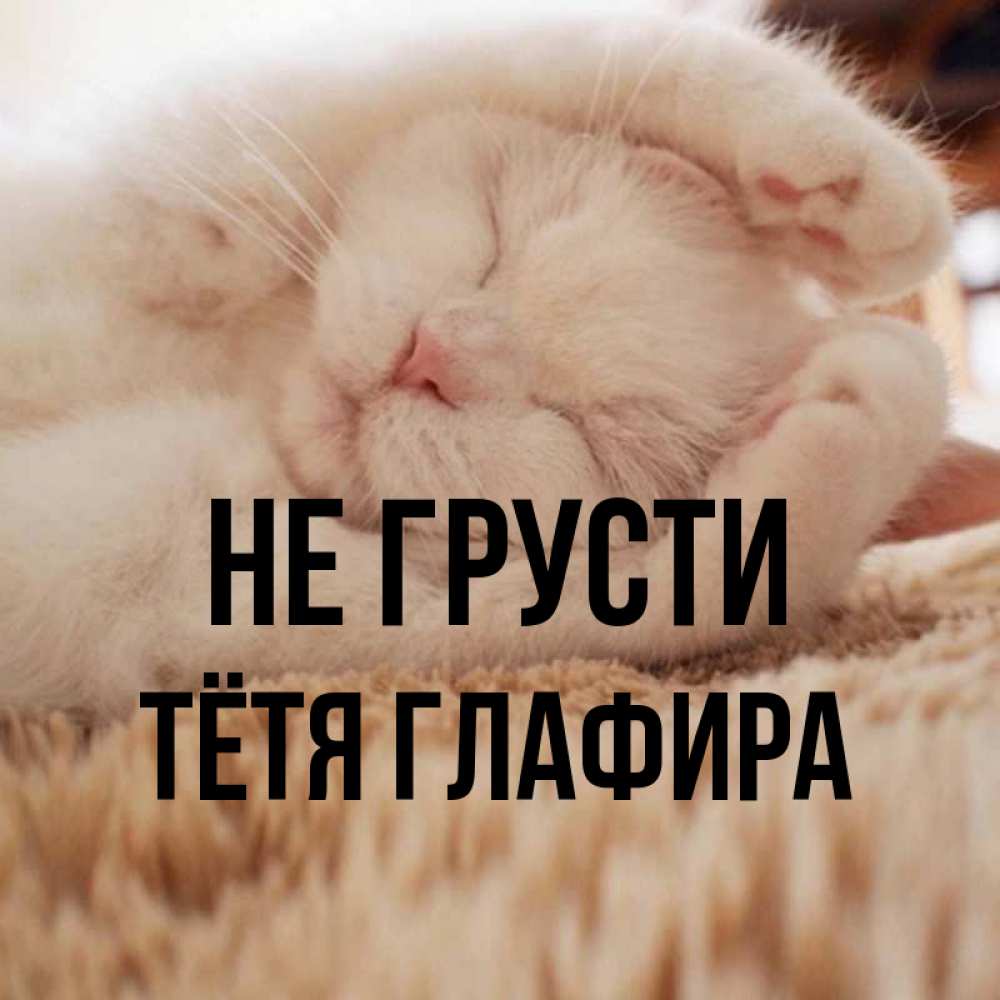 Открытка на каждый день с именем, Тётя-Глафира Не грусти Котенок спит Прикольная открытка с пожеланием онлайн скачать бесплатно 