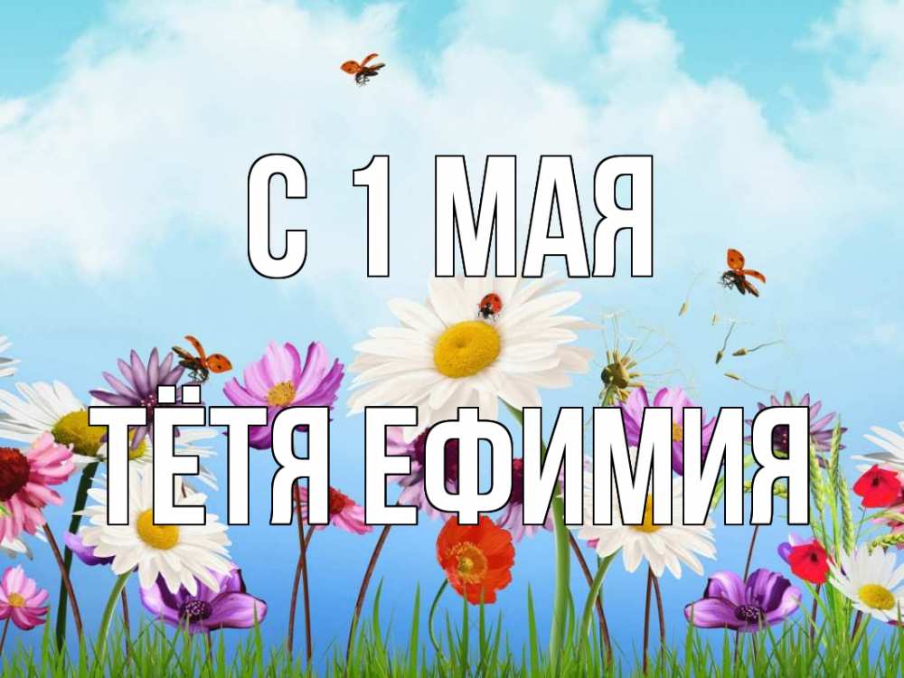 Открытка на каждый день с именем, Тётя-Ефимия С 1 мая С 1 мая Прикольная открытка с пожеланием онлайн скачать бесплатно 