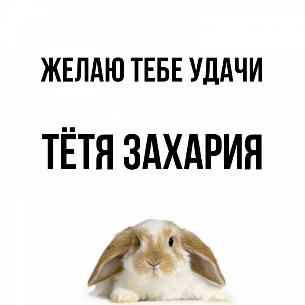 Открытка на каждый день с именем, Тётя-Захария Желаю тебе удачи открытки с произвольным текстом который можно вставить в открытку и создать ее самостоятельно бесплатно онлайн Прикольная открытка с пожеланием онлайн скачать бесплатно 
