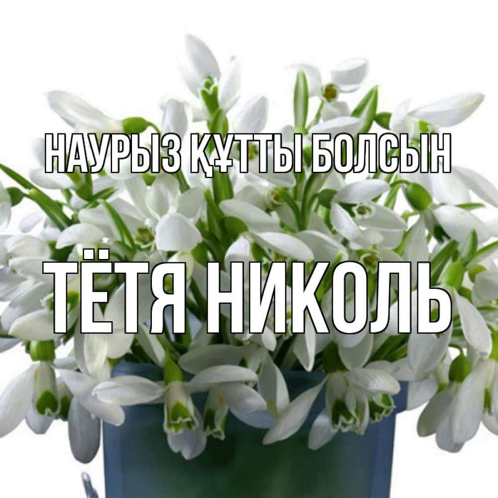 Открытка на каждый день с именем, Тётя-Николь Наурыз құтты болсын цветы к наурызу Прикольная открытка с пожеланием онлайн скачать бесплатно 