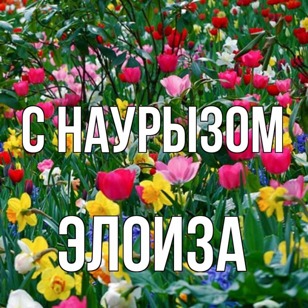 Открытка на каждый день с именем, Элоиза С наурызом с наурызом праздником весны поздравления для женщины Прикольная открытка с пожеланием онлайн скачать бесплатно 