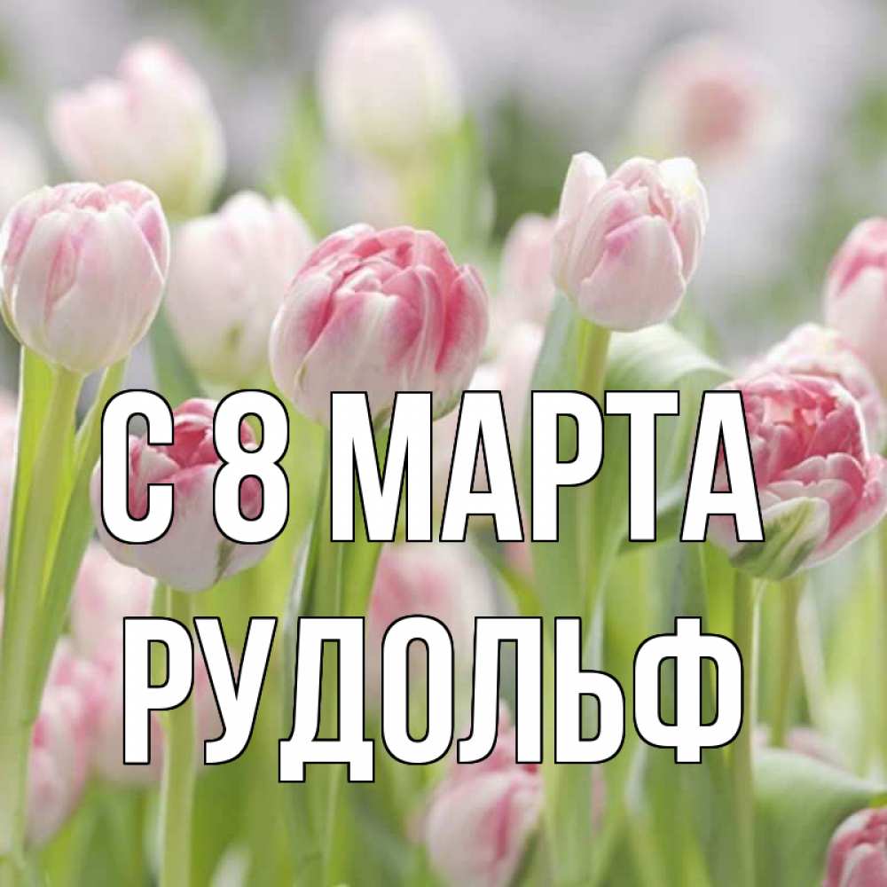 Открытка на каждый день с именем, Рудольф С 8 МАРТА цветы Прикольная открытка с пожеланием онлайн скачать бесплатно 