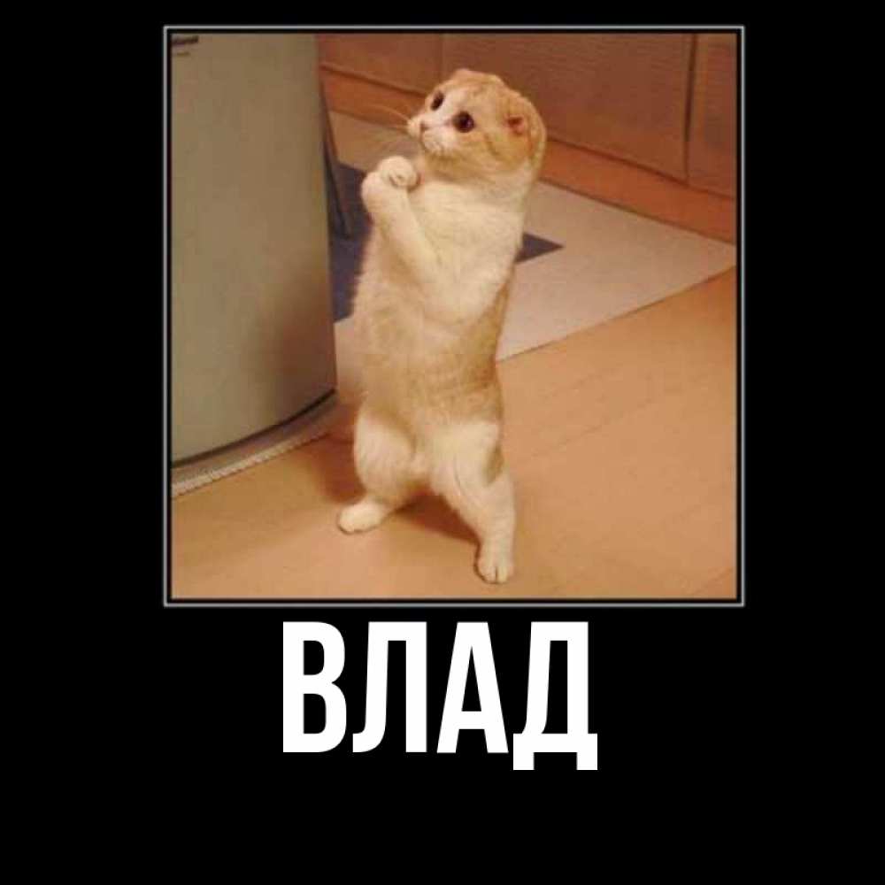 Картинка  с именем , Влад