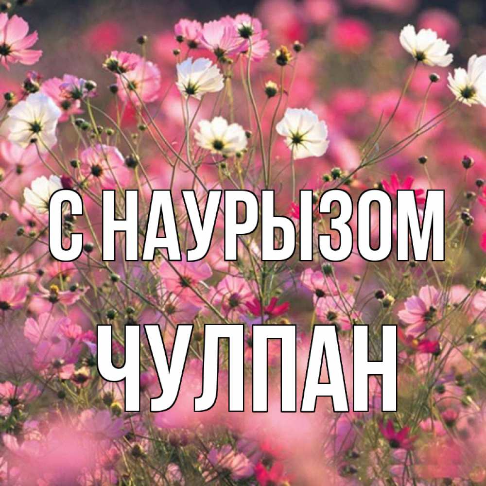 Открытка на каждый день с именем, Чулпан С наурызом красиво 1 Прикольная открытка с пожеланием онлайн скачать бесплатно 