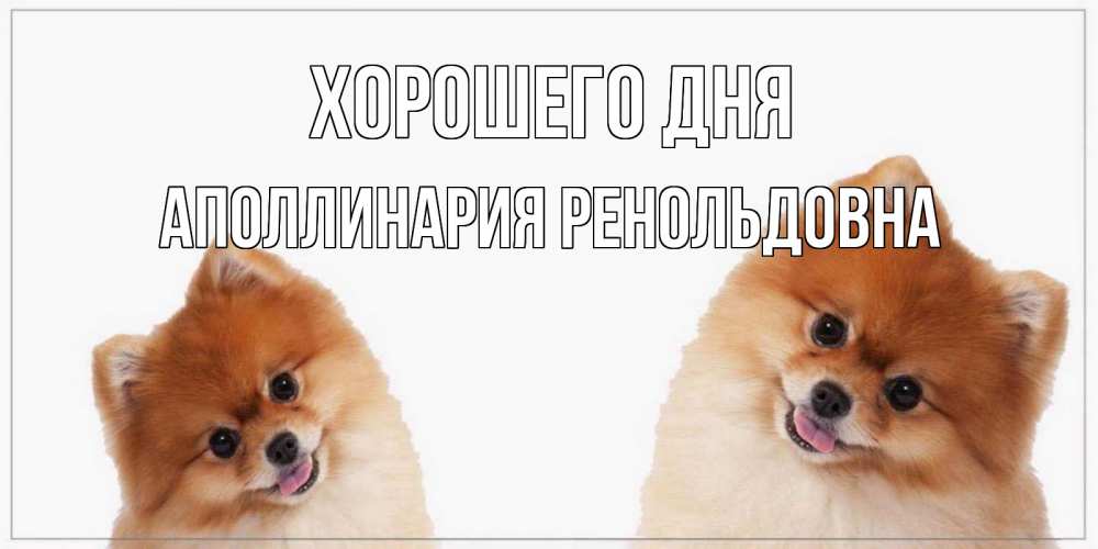 Картинка Хорошего дня, Аполлинария Ренольдовна