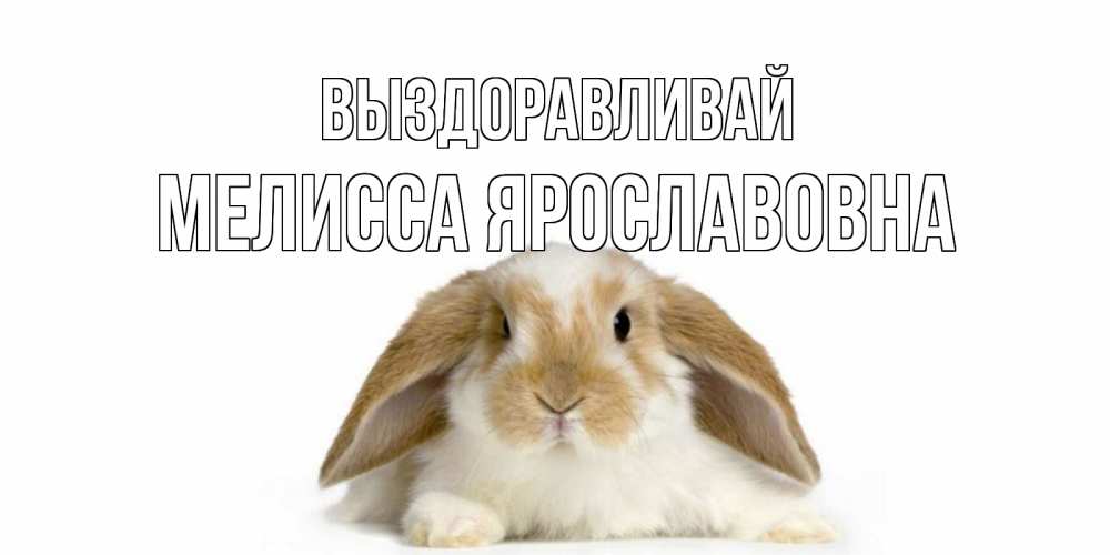 Картинка Выздоравливай, Мелисса Ярославовна