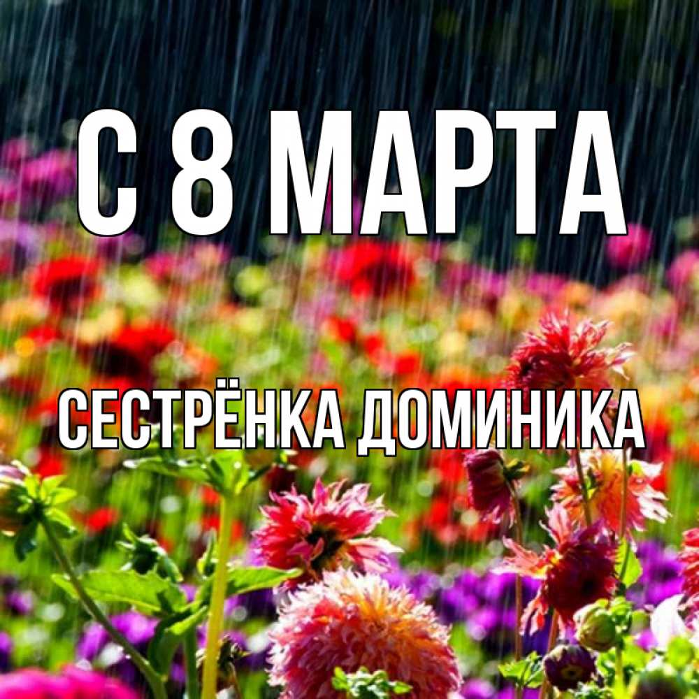Открытка на каждый день с именем, Сестрёнка-Доминика С 8 марта цветы под дождиком к международному женскому дню Прикольная открытка с пожеланием онлайн скачать бесплатно 