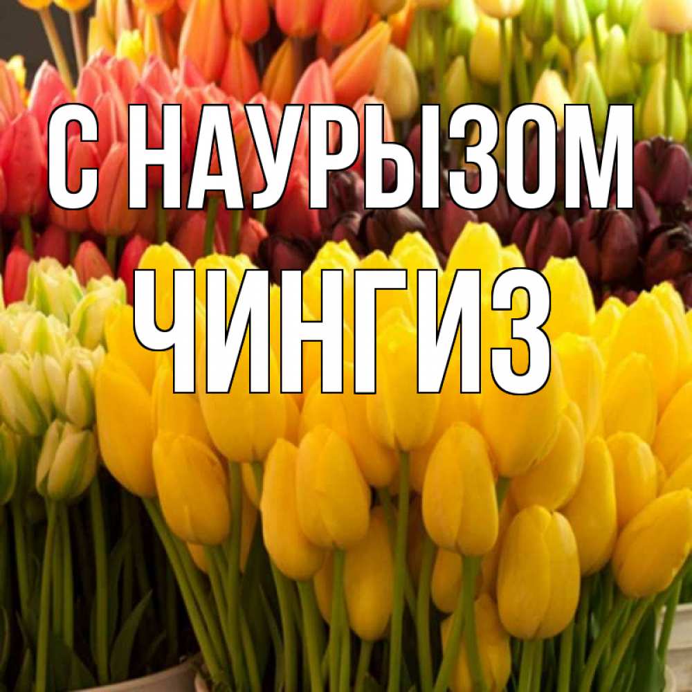 Открытка на каждый день с именем, Чингиз С наурызом цветы Прикольная открытка с пожеланием онлайн скачать бесплатно 