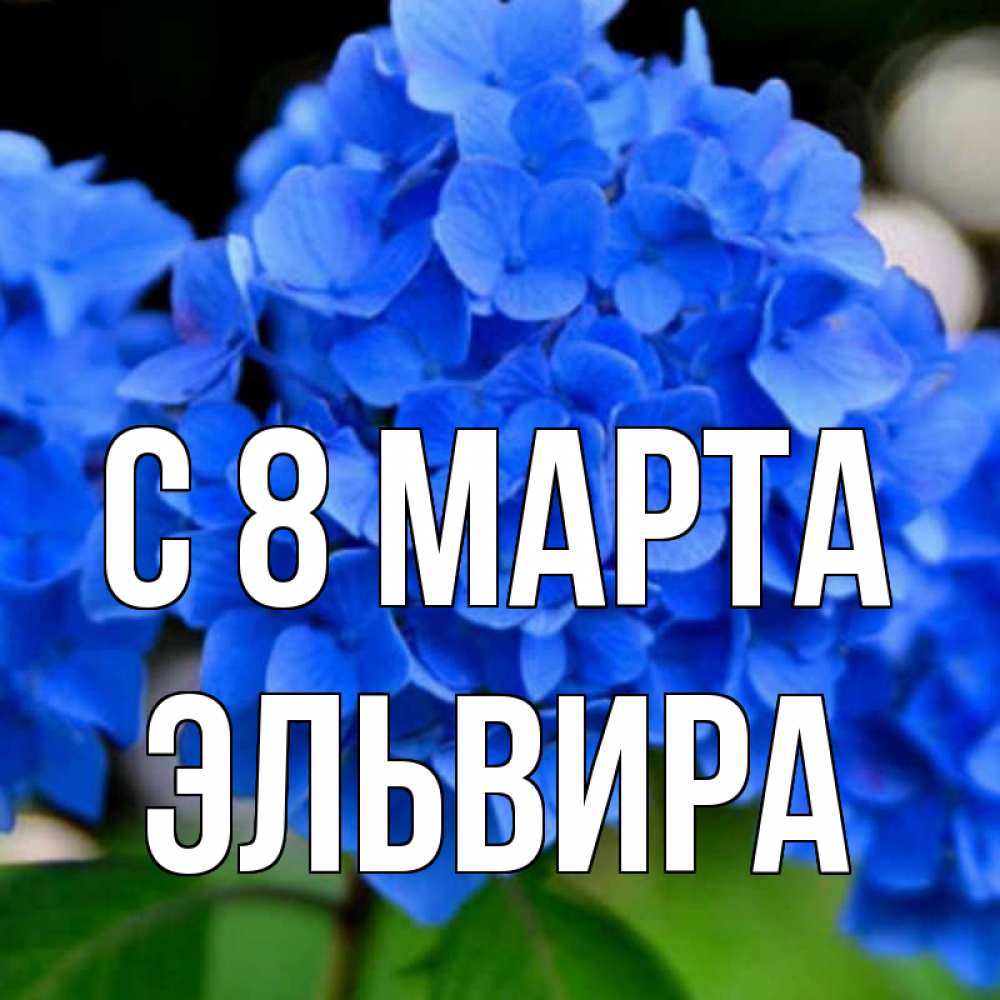Открытка на каждый день с именем, Эльвира С 8 марта синие цветы Прикольная открытка с пожеланием онлайн скачать бесплатно 