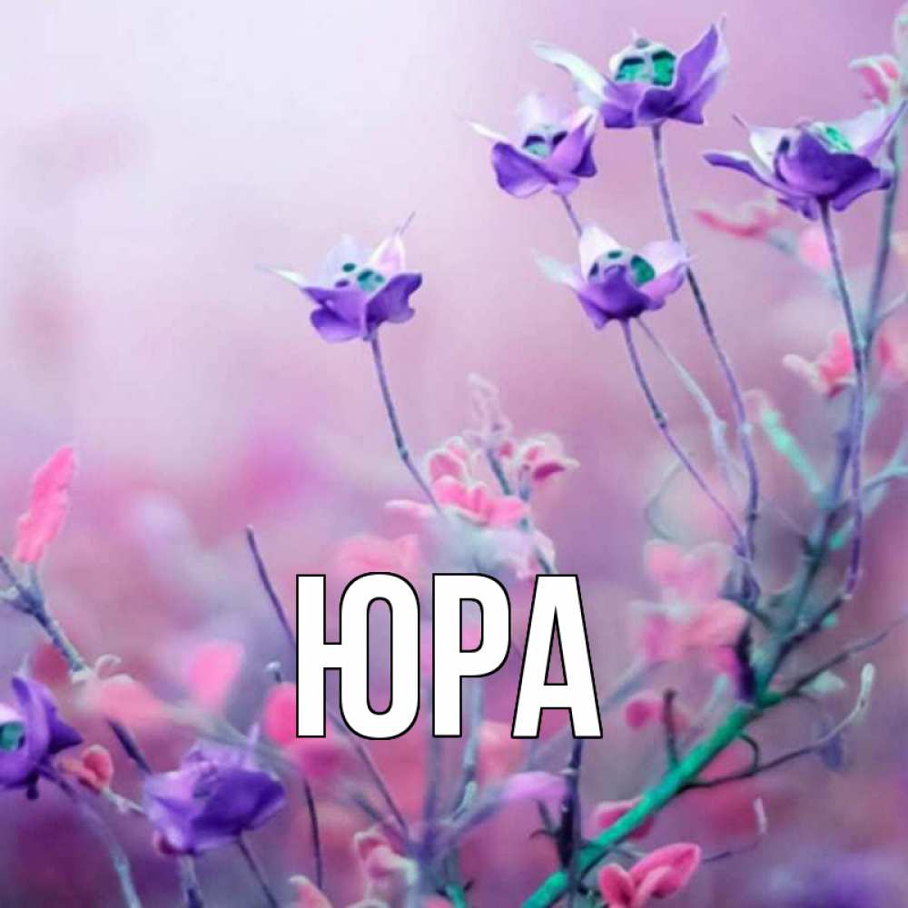 Германии, картинки с именами юра