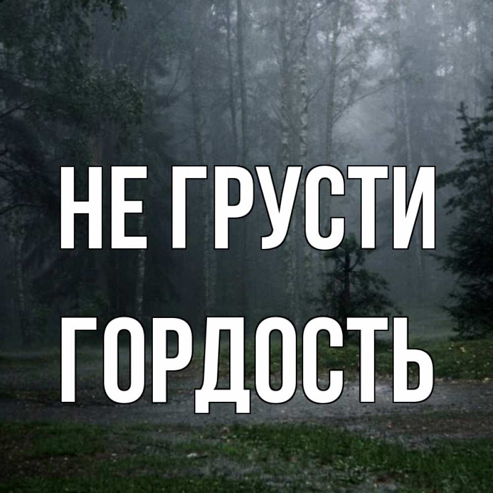Гордыня имя