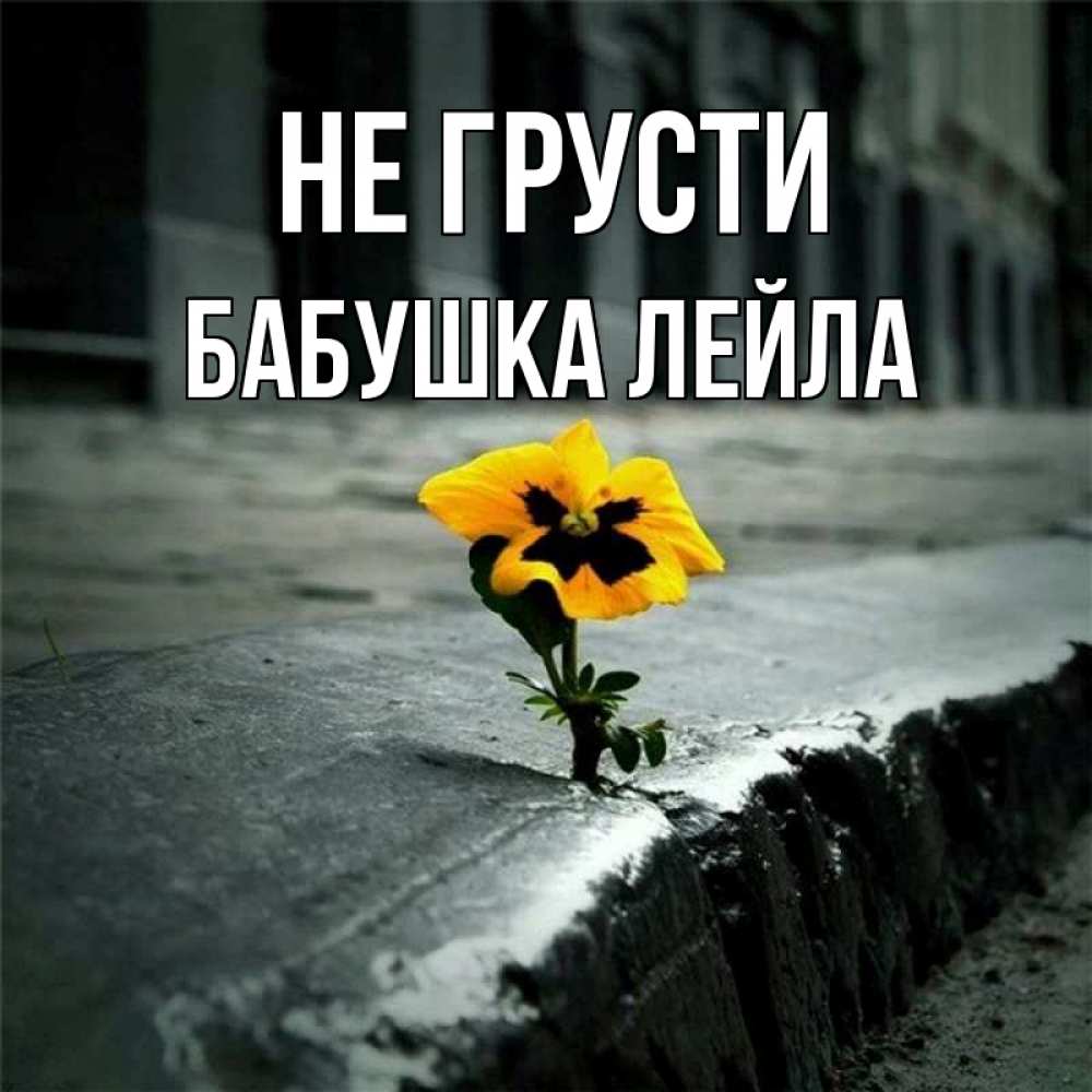 Открытка на каждый день с именем, Бабушка-Лейла Не грусти не сдавайся Прикольная открытка с пожеланием онлайн скачать бесплатно 