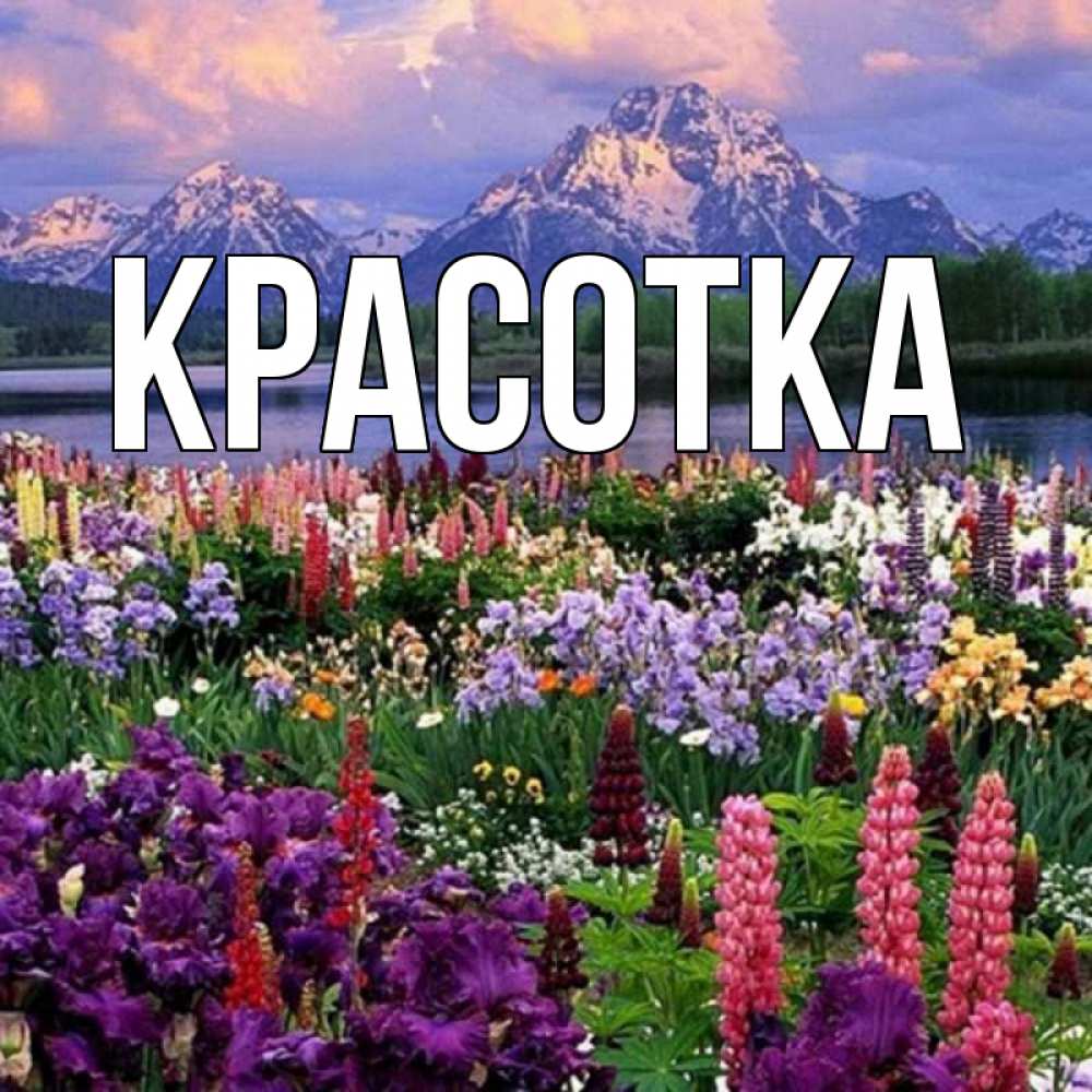 Открытка на каждый день с именем, красотка Главная праздник весны наурыз Прикольная открытка с пожеланием онлайн скачать бесплатно 