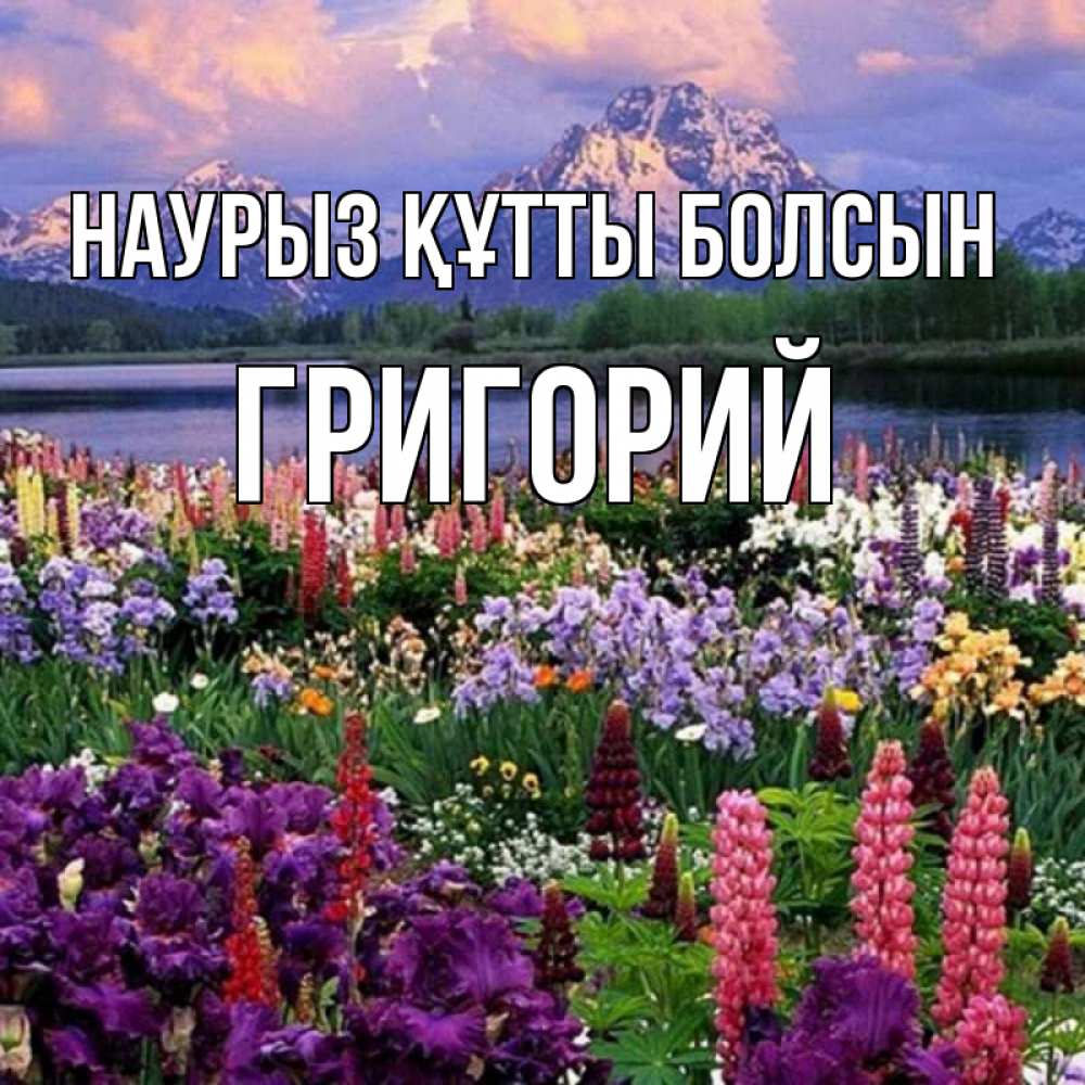 Открытка на каждый день с именем, Григорий Наурыз құтты болсын наурыз Прикольная открытка с пожеланием онлайн скачать бесплатно 