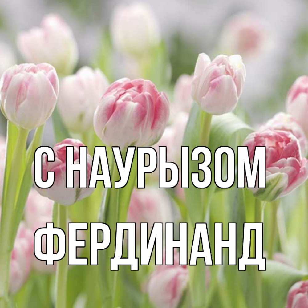 Открытка на каждый день с именем, Фердинанд С наурызом цветы Прикольная открытка с пожеланием онлайн скачать бесплатно 