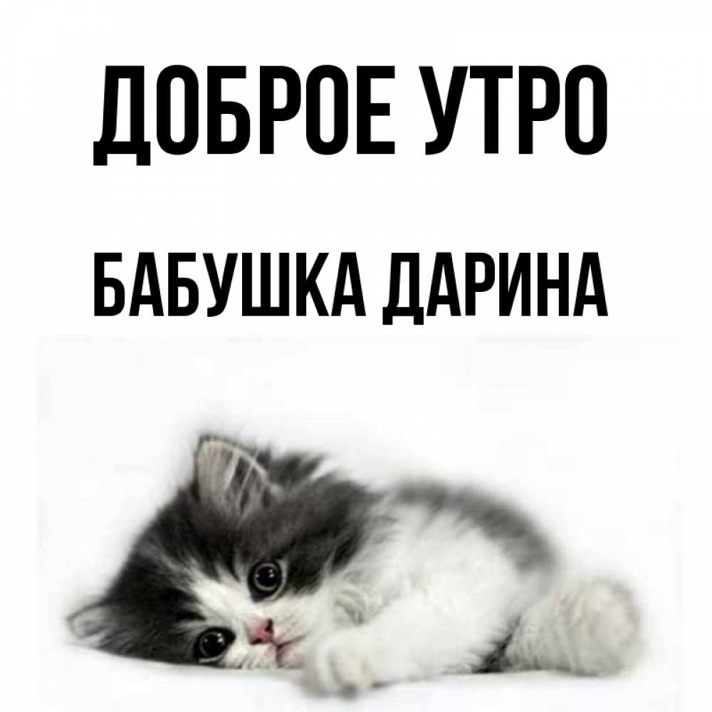 Открытка на каждый день с именем, Бабушка-Дарина Доброе утро кот лапки Прикольная открытка с пожеланием онлайн скачать бесплатно 