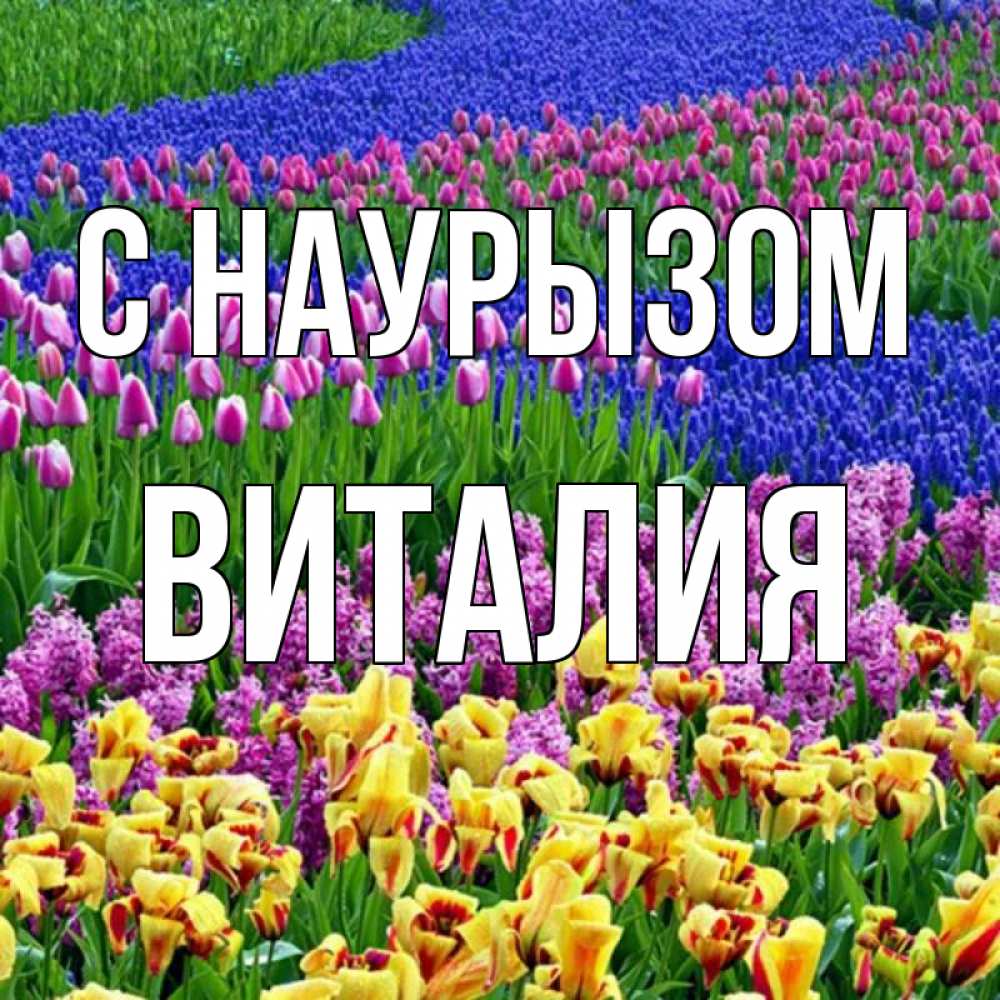 Открытка на каждый день с именем, Виталия С наурызом цветы Прикольная открытка с пожеланием онлайн скачать бесплатно 