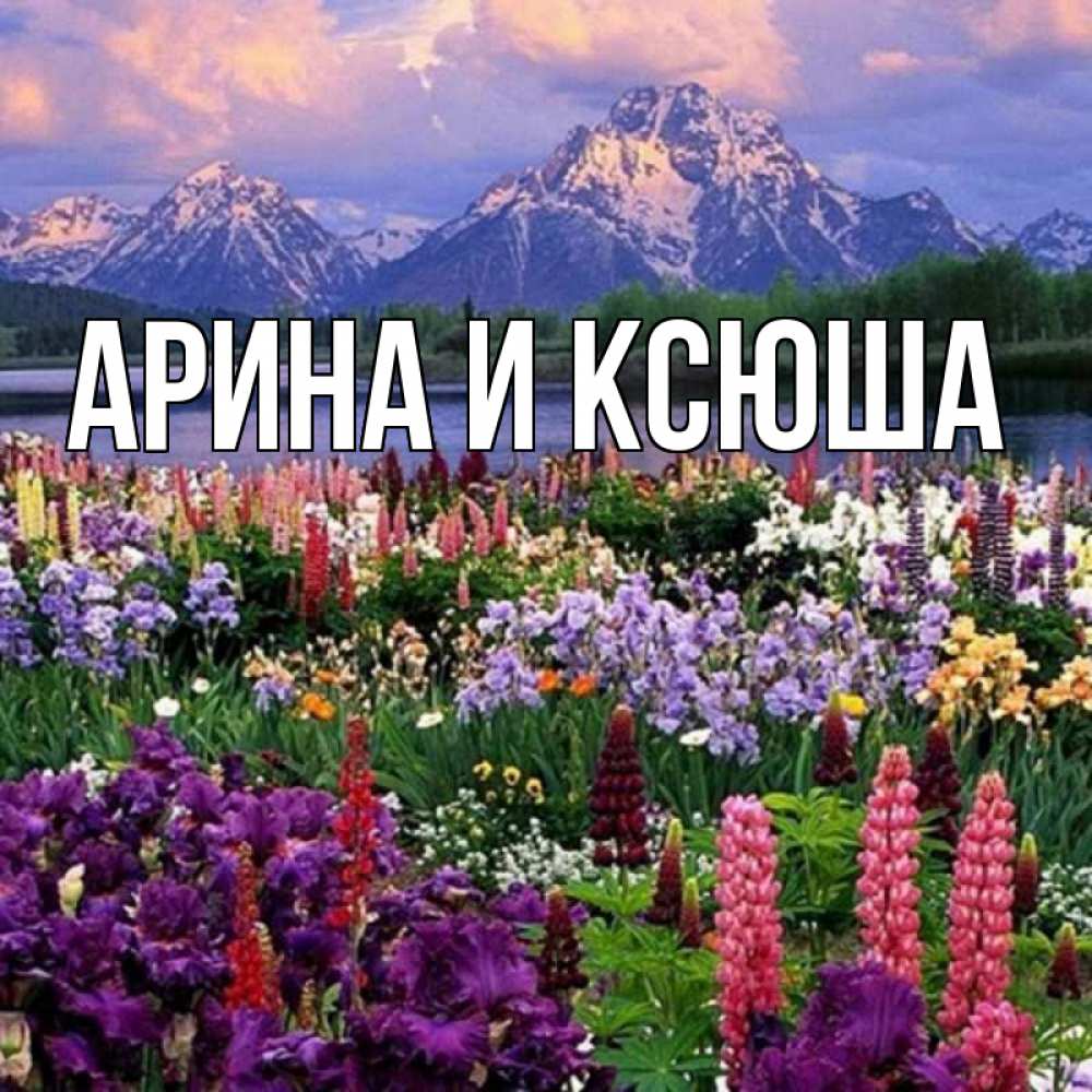 Открытка на каждый день с именем, Арина-и-Ксюша Главная наурыз Прикольная открытка с пожеланием онлайн скачать бесплатно 