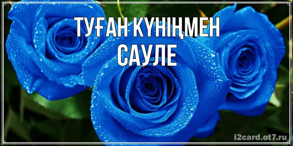 Открытка на каждый день с именем, Сауле Туған күніңмен розы с синим цветом Прикольная открытка с пожеланием онлайн скачать бесплатно 